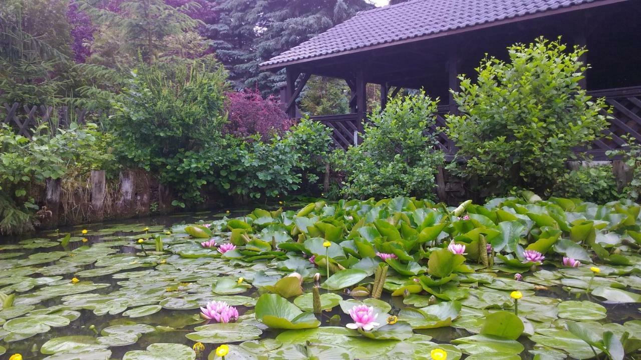 Dankowska Dolina Villa Luaran gambar